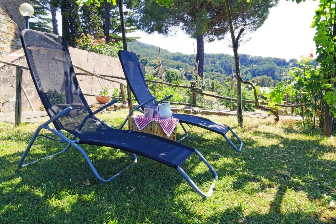 Agriturismo Bellavista Apt La Pergola Castagneto Carducci Exterior foto